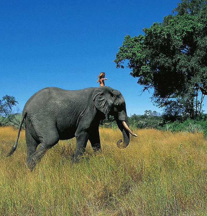 Девочка Типпи и африканские дикие животные