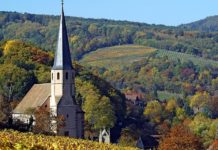 Медовий місяць: південь Франції