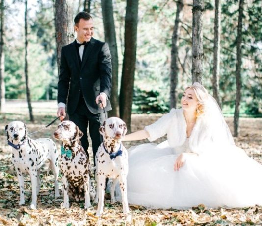 Вічна класика: весілля Юлії та Дениса