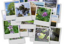 Як правильно зберігати фотографії?