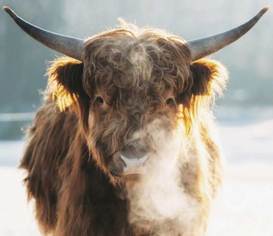 Робота хобі не перешкода.