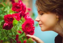 У Криму зявиться сад ароматів.