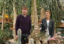 Юлія Висоцька подарувала Аптекарському городу колекцію рідкісних сукулентів.