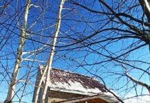 Міфи і реальність про сип-панельних дачах