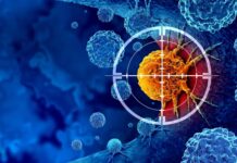 Avance en inmunoterapia contra el cáncer: se ha descubierto que un ‘interruptor’ activa la respuesta inmunitaria