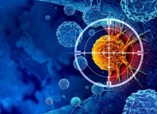 Avance en inmunoterapia contra el cáncer: se ha descubierto que un ‘interruptor’ activa la respuesta inmunitaria