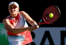 Тенісна зірка Олена Рибакіна встановила новий стандарт щодо особистих кордонів за 5 секунд