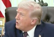 Трамп Впав на Журналістку, Посилюючи Напади на Пресу