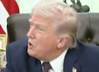 Трамп Впав на Журналістку, Посилюючи Напади на Пресу