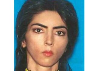 Масова стрілянина у штаб-квартирі YouTube: незвичайний профіль насильства