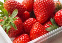 Ця «чудова» знахідка за 28 доларів зберігає мої ягоди свіжими вдвічі довше (я в шоці)