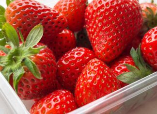 Ця «чудова» знахідка за 28 доларів зберігає мої ягоди свіжими вдвічі довше (я в шоці)